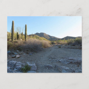 King Canyon Trail I Postkarte