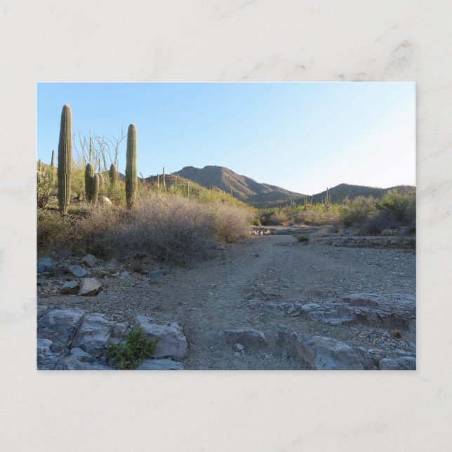 King Canyon Trail I Postkarte (Vorderseite)