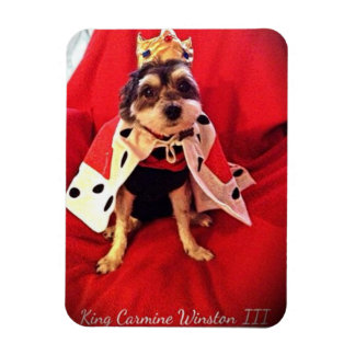 King Carmine Winston III Foto Magnet