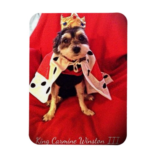 King Carmine Winston III Foto Magnet (Vertikal)
