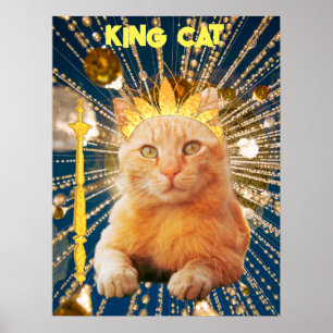 King Cat Funny Poster Animaux domestiques et anima