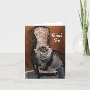 King Cat Kimber Vielen Dank Note Card Dankeskarte