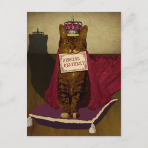 King Cat Special Delivery Postcard Postkarte