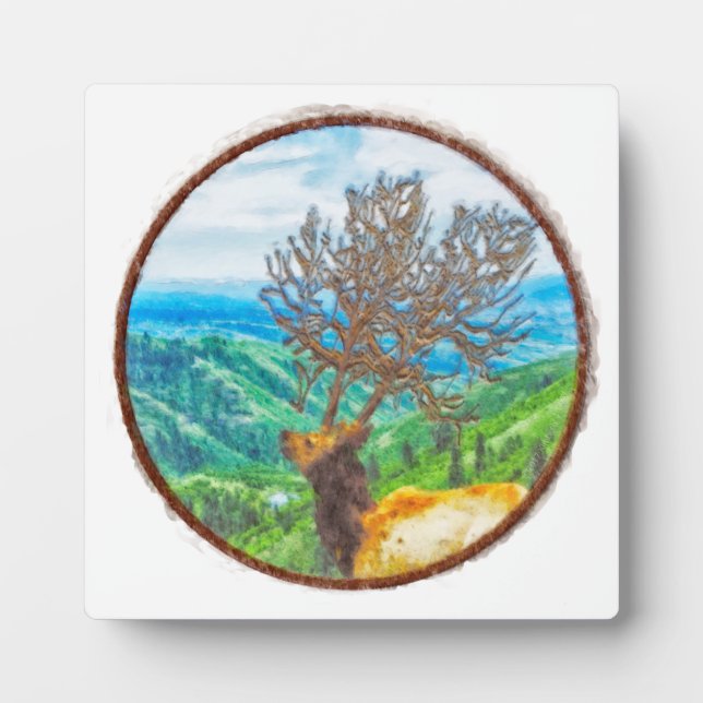 King Cervus Fotoplatte (Vorderseite)