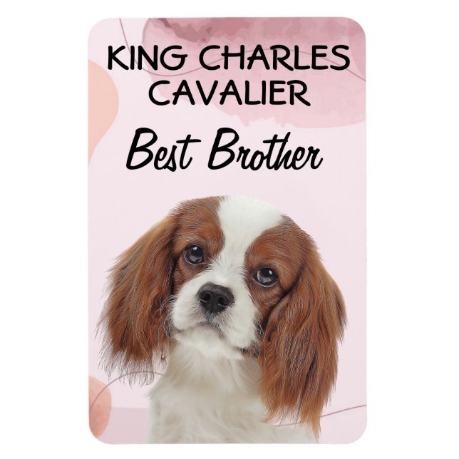 King Charles Cavalier Best Brother Magnet (Vertikal)