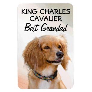 King Charles Cavalier Best Grandad Magnet
