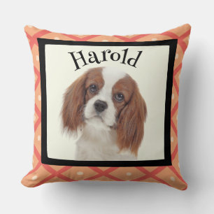 King Charles Cavalier - kundenspezifischer Rahmen Kissen
