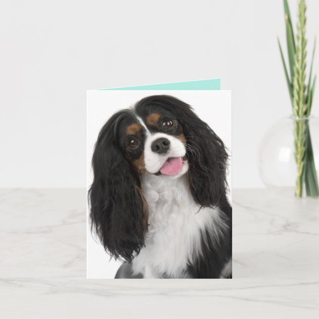 King Charles Cavalier - Note Card Karte (Vorderseite)