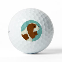 King Charles Cavalier Spaniel