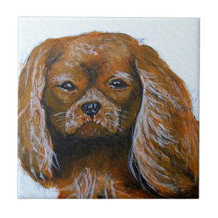 King Charles Cavalier Spaniel Red Fliese