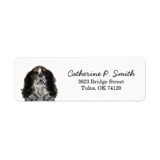 King Charles Cavalier Spaniel Rücksendeadresse