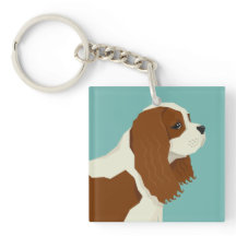 King Charles Cavalier Spaniel