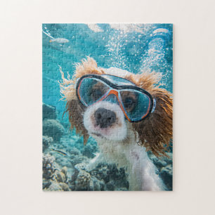 King Charles Cocker Spaniel fährt im Ozean