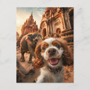 King Charles Cocker Spaniel im Ankor-Tempel Feiertagspostkarte