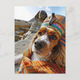 King Charles Cocker Spaniel in Egypt Feiertagspostkarte
