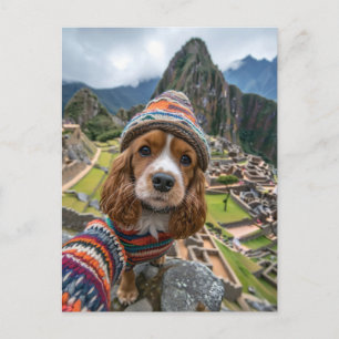King Charles Cocker Spaniel macht Selfies quer dur Feiertagspostkarte
