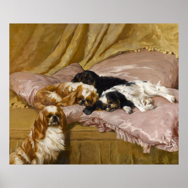 King Charles Spaniels von Arthur Wardle Poster (Vorne)