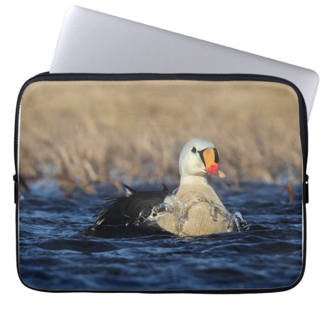 King Eider Bird Laptopschutzhülle (Vorderseite)