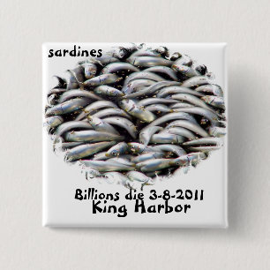 King Harbor-Sardines_ Button