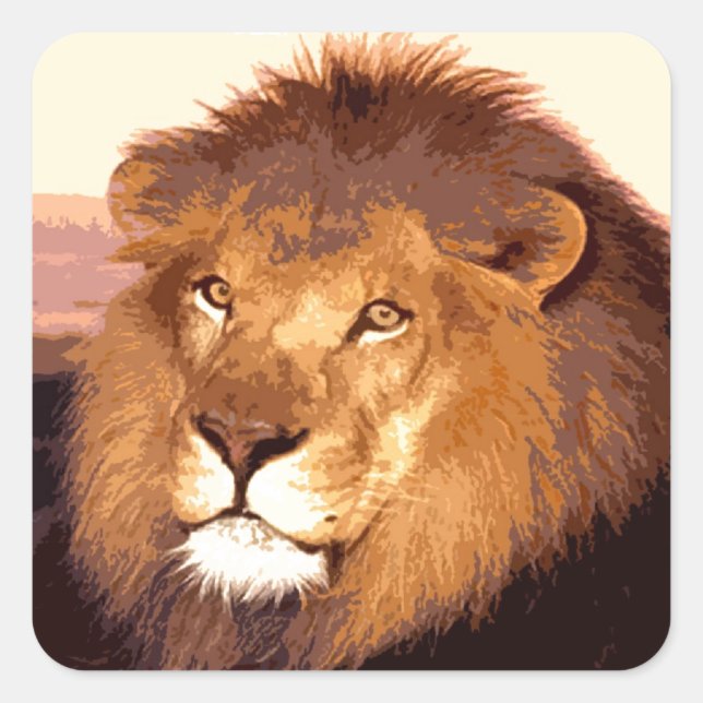 King Lion Quadratischer Aufkleber (Vorderseite)