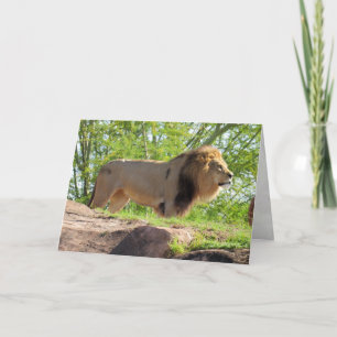 King of the Dschungel Greeting Card (Löwe) Karte