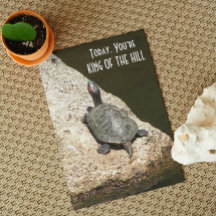 King of the Hill Turtle on Rock Nature Birthday