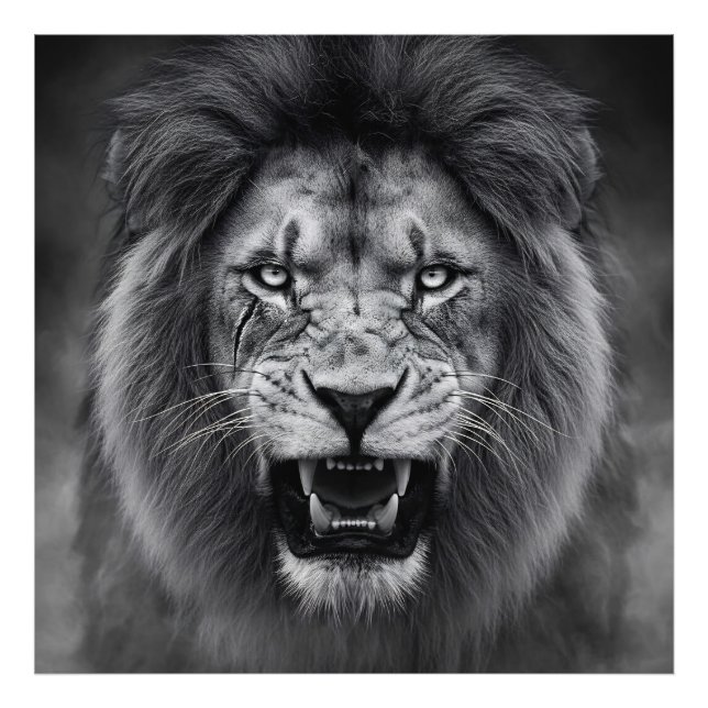 King of the Jungle Fotodruck (Vorne)