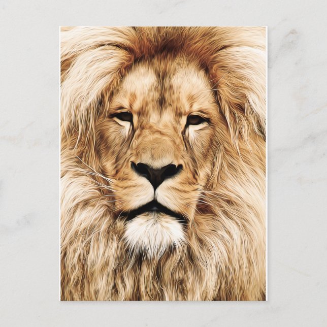 King of the Jungle Lion Post Card Postkarte (Vorderseite)