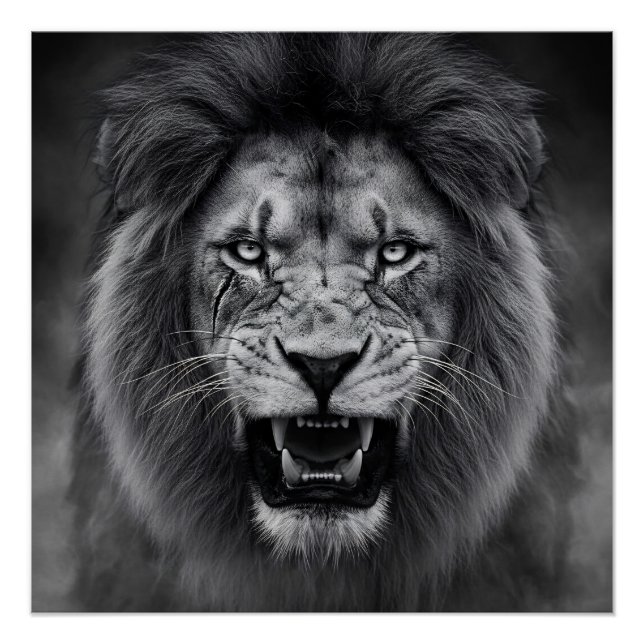 King of the Jungle Poster (Vorderseite)