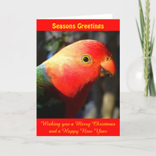 King Parrot Xmas Card Feiertagskarte