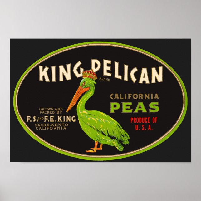 King Pelican California Poster (Vorne)