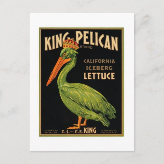 King Pelican Lettuce Postkarte (Vorderseite)