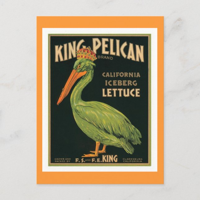 King Pelican Vintag Label Postkarte (Vorderseite)