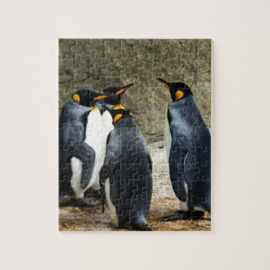 King Penguin