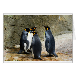 King Penguin
