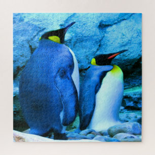 King Penguin Couple