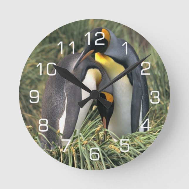 King Penguin Lovers Runde Wanduhr (Vorderseite)