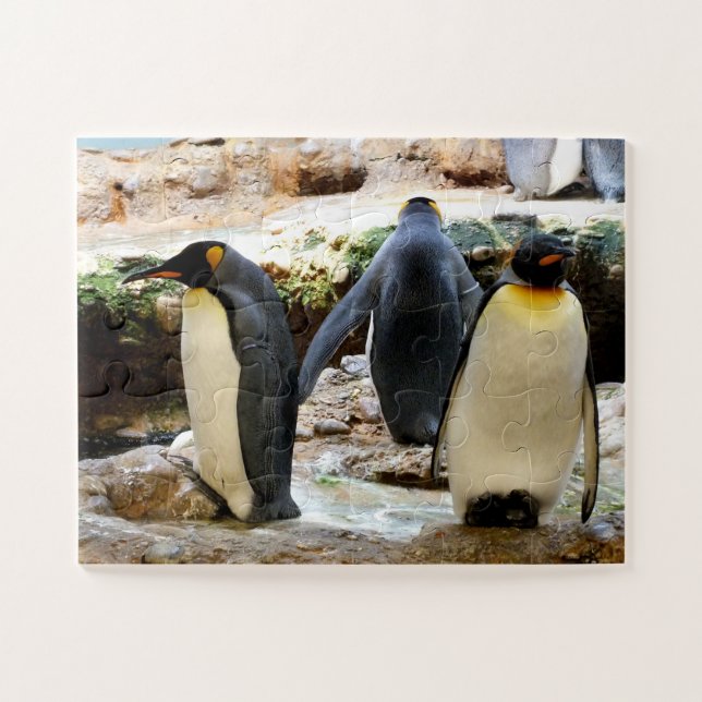 King Penguins (Horizontal)