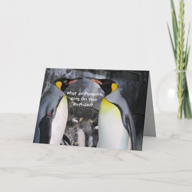 King Penguins Geburtstagskarte Karte (Vorderseite)
