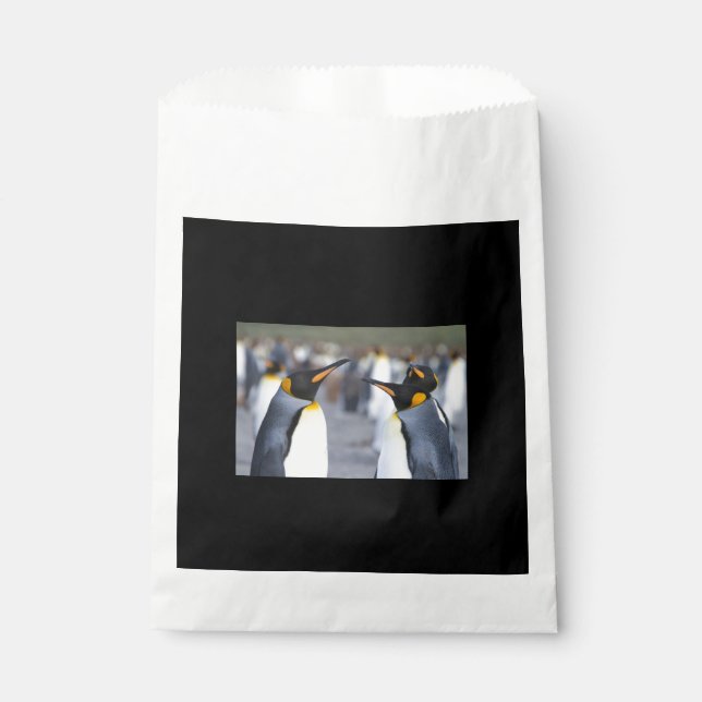 King Penguins Geschenktütchen (Vorderseite)