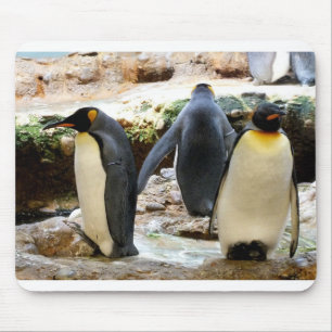 King Penguins Mousepad