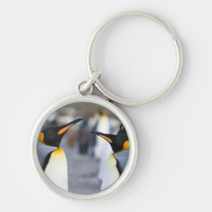 King Penguins Schlüsselanhänger