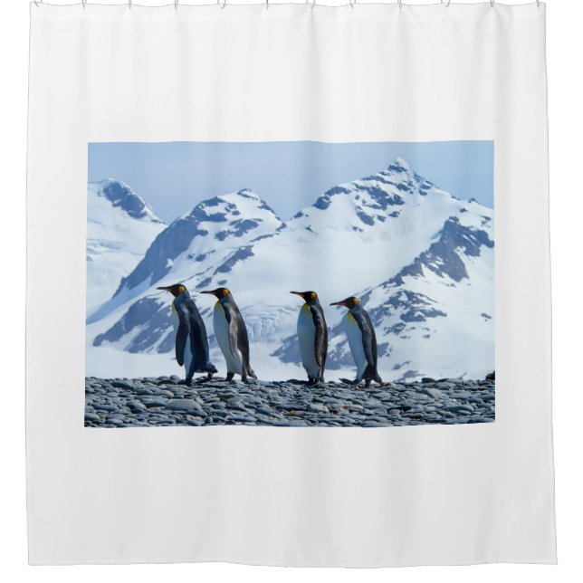 King Pinguine in Südgeorgien Duschvorhang (Vorderseite)
