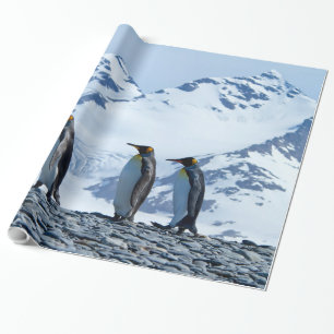 King Pinguine in Südgeorgien Geschenkpapier