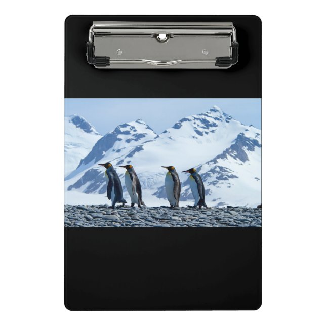 King Pinguine in Südgeorgien Mini Klemmbrett (Vorderseite)