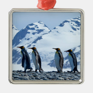 King Pinguine in Südgeorgien Ornament Aus Metall