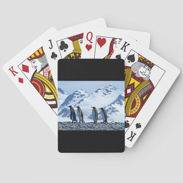 King Pinguine in Südgeorgien Spielkarten (Rückseite)