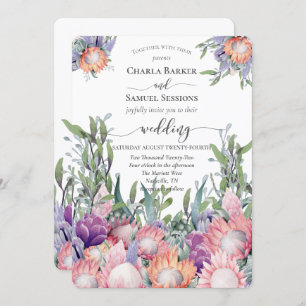 King Protea Bright Colored Exotic Flowers Program Programm