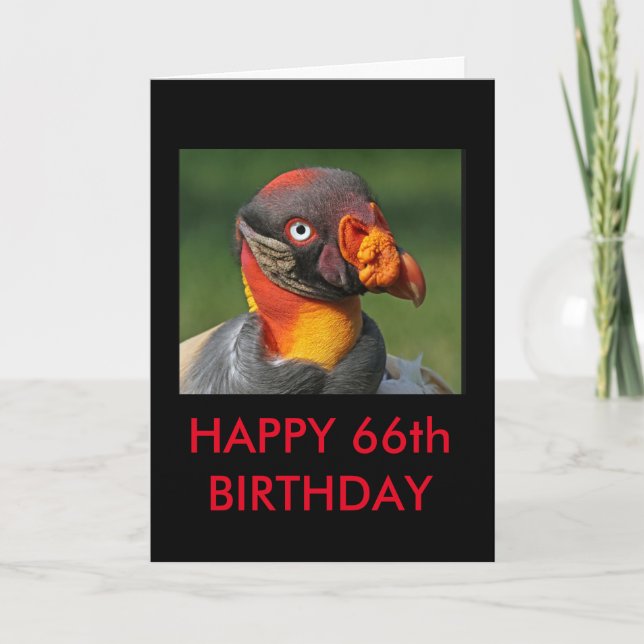 King Vulture - Happy 66. Geburtstag Karte (Vorderseite)