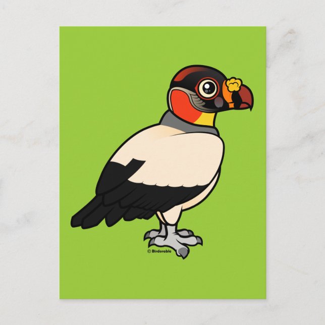 King Vulture Postkarte (Vorderseite)